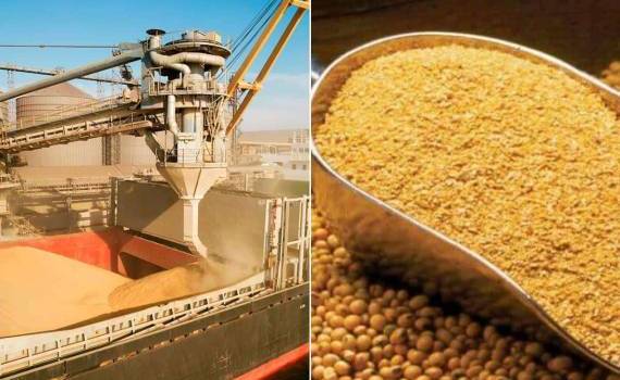 США возобновили поставки соевого шрота в Польшу впервые с 2019 года - agroexpert.md