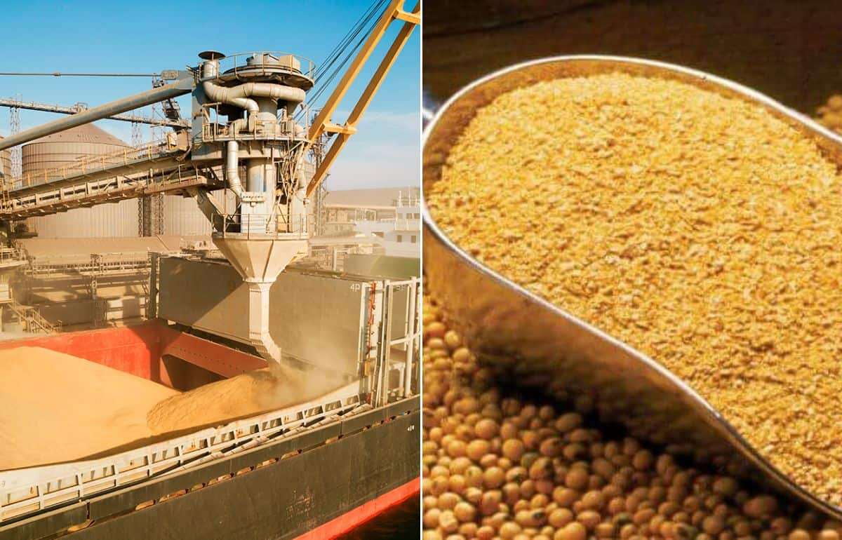 США возобновили поставки соевого шрота в Польшу впервые с 2019 года - agroexpert.md
