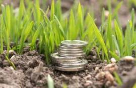 Fermierii primesc subvenții de 178,49 milioane lei în mai 2026 - agroexpert.md