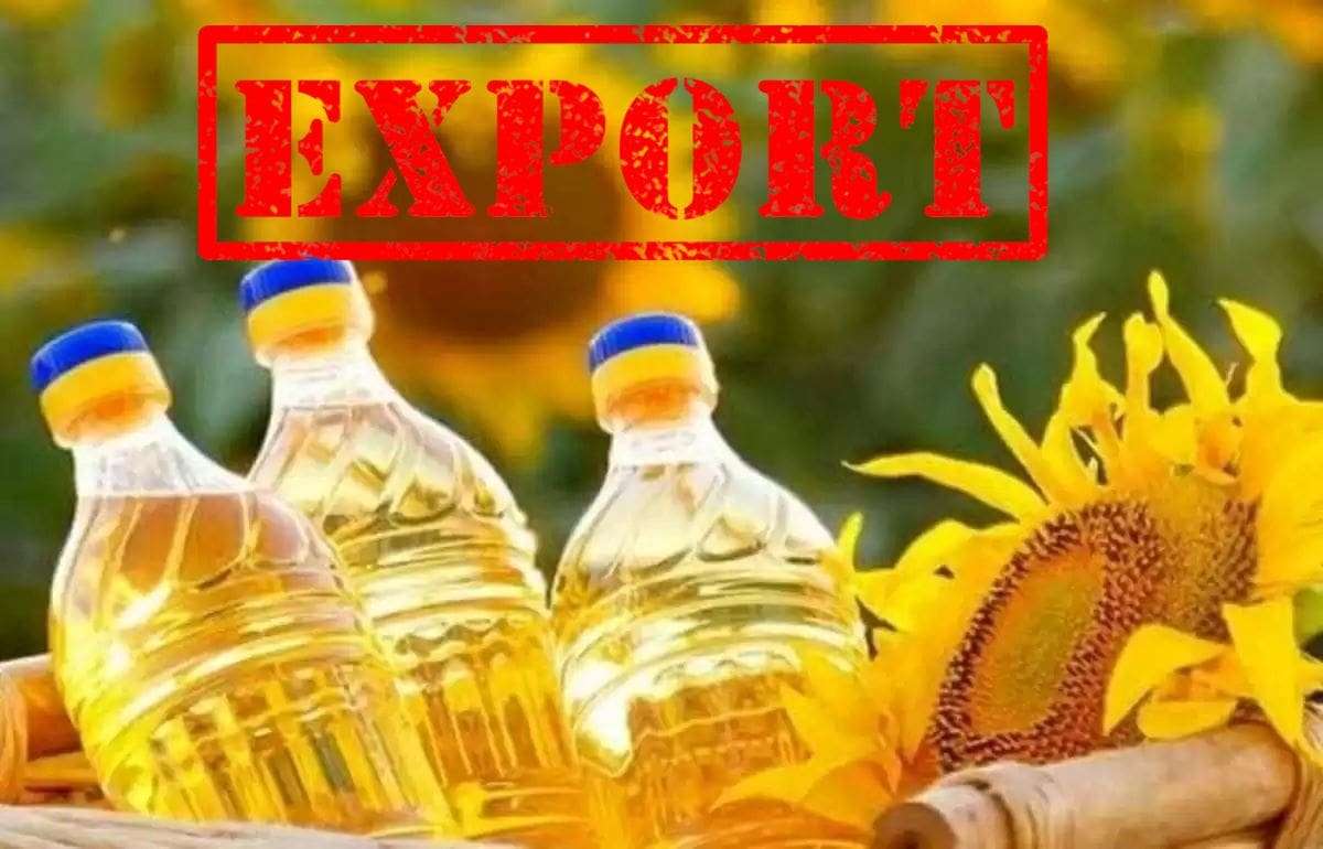 Аргентина ворвалась в тройку лидеров по экспорту подсолнечного масла - agroexpert.md