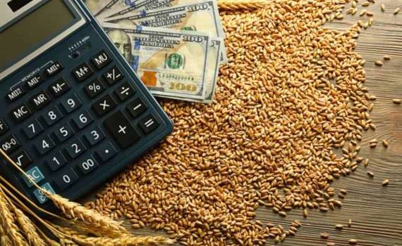 Падение пшеничных котировок на биржах отражается на ценах в Украине - agroexpert.md