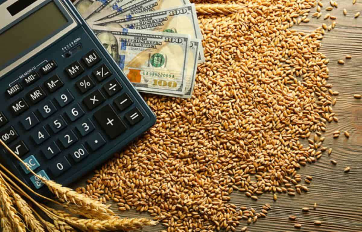 Падение пшеничных котировок на биржах отражается на ценах в Украине - agroexpert.md