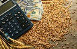 Падение пшеничных котировок на биржах отражается на ценах в Украине - agroexpert.md