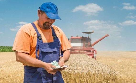 30 iunie - ultima zi pentru plata impozitului funciar - agroexpert.md