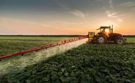 Importurile de pesticide - agroexpert.md