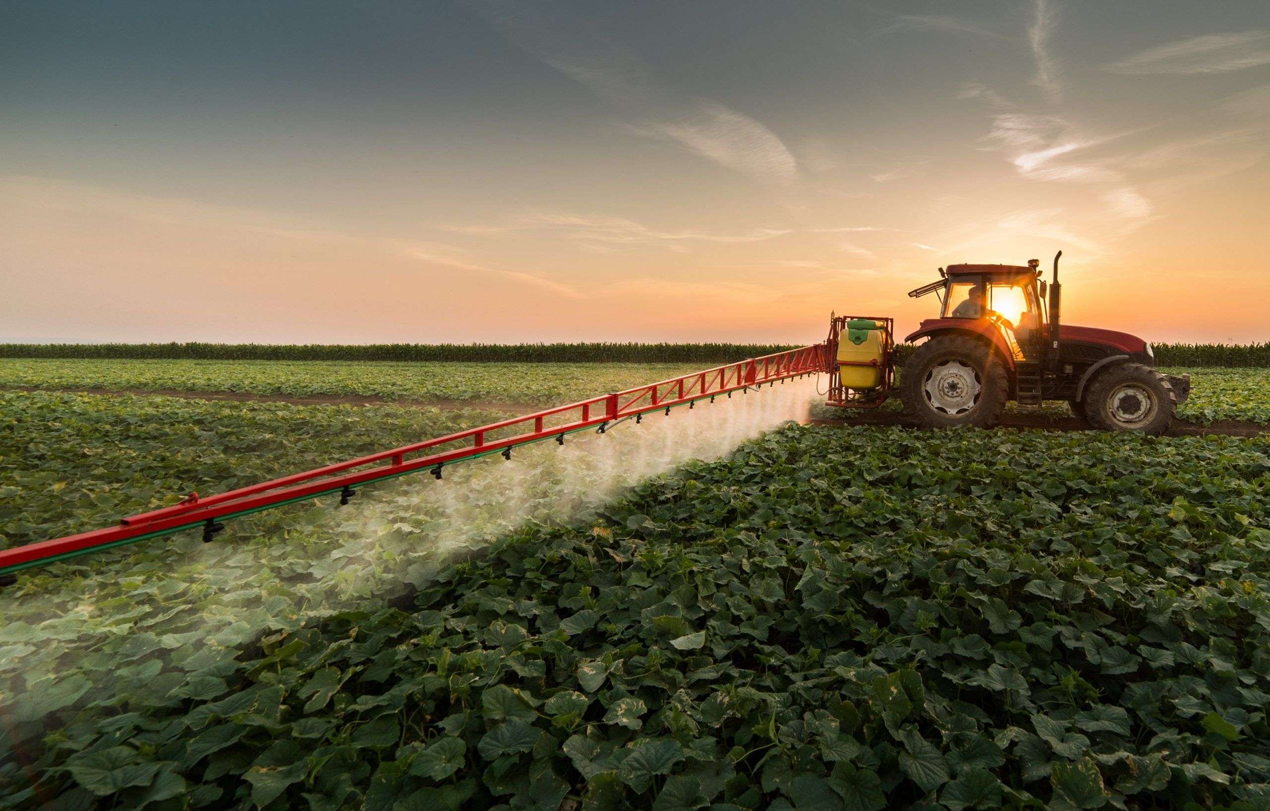 Importurile de pesticide - agroexpert.md