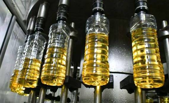 Украинский экспорт подсолнечного масла в 2025/26 МГ сократится на 13% - agroexpert.md