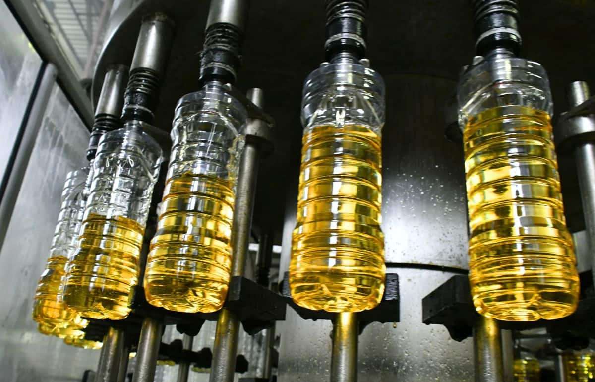 Украинский экспорт подсолнечного масла в 2025/26 МГ сократится на 13% - agroexpert.md