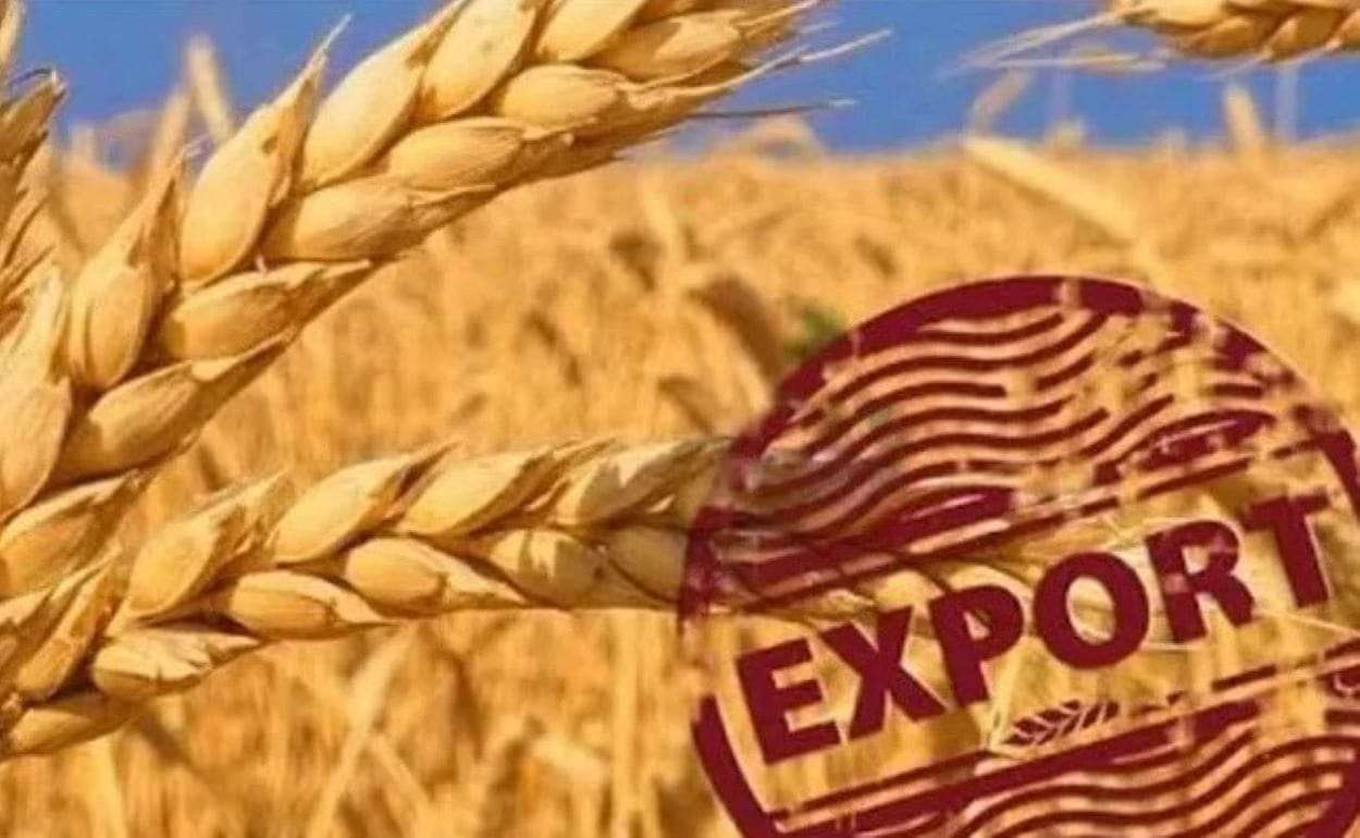 ЕС теряет пшеничный рынок Ближнего Востока: новый удар по экспорту - agroexpert.md