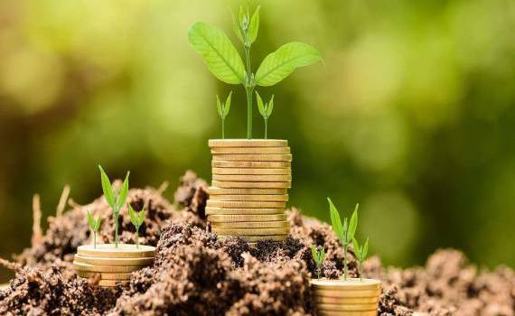 581 de afaceri agricole au primit finanțare prin Programul FCA - agroexpert.md