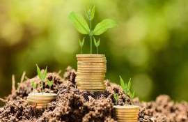 581 de afaceri agricole au primit finanțare prin Programul FCA - agroexpert.md