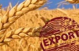 ЕС теряет пшеничный рынок Ближнего Востока: новый удар по экспорту - agroexpert.md