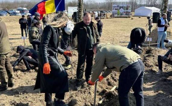 Campania de împădurire - AGROEXPERT.MD