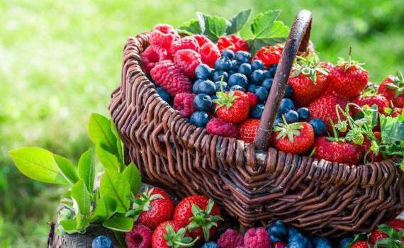 Schimbările climatice afectează sectorul fructelor moi - agroexpert.md