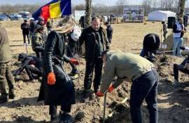 Campania de împădurire - AGROEXPERT.MD