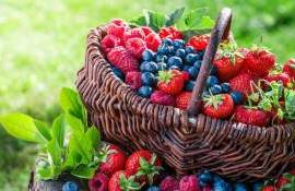 Schimbările climatice afectează sectorul fructelor moi - agroexpert.md