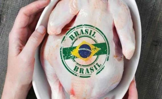 Бразилия надеется вернуть право на экспорт птицы и мясной продукции в ЕС - agroexpert.md