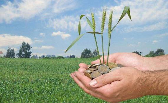 AIPA - agroexpert.md