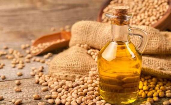 Снижение переработки в Аргентине уменьшило мировой экспорт соевого масла - agroexpert.md