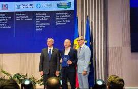 Revenit din SUA, Vlad Vedrașco investește în struguri de masă de calitate - agroexpert.md