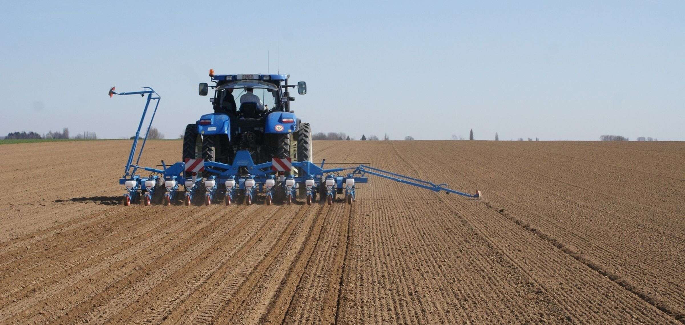 Cultivarea sfeclei de zahăr - AGROEXPERT.MD