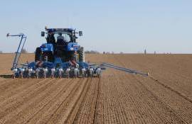 Cultivarea sfeclei de zahăr - AGROEXPERT.MD