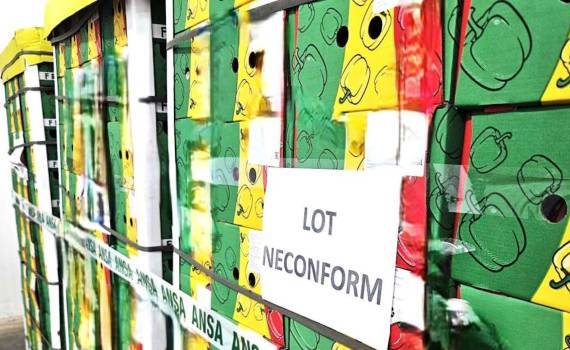 lot ardei neconform - agroexpert.md