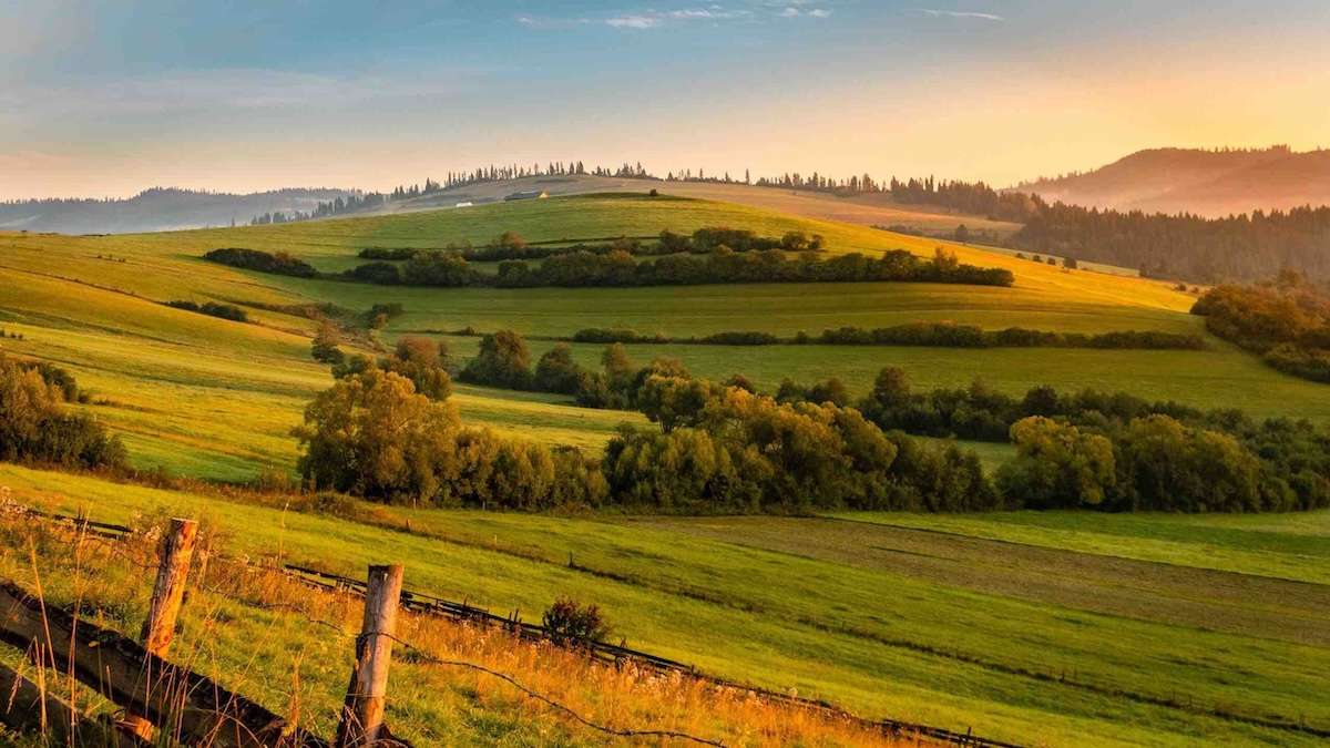 fonduri IFAD - agroexpert.md