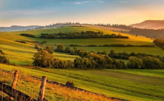 fonduri IFAD - agroexpert.md