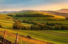 fonduri IFAD - agroexpert.md