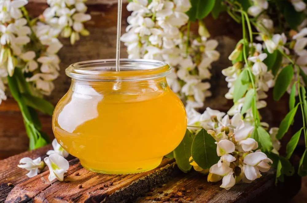 Mierea de salcâm, sub așteptări - agroexpert.md