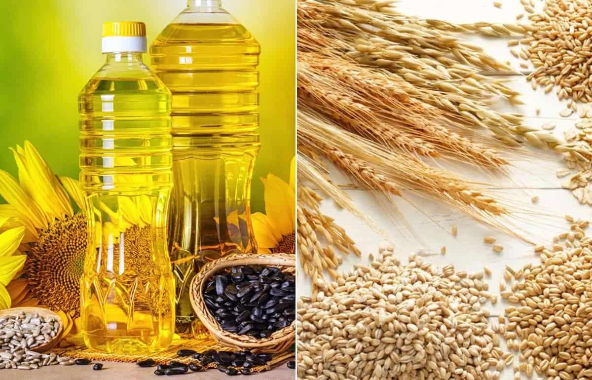 Анализ рынка растительных масел и зерновых за неделю - agroexpert.md