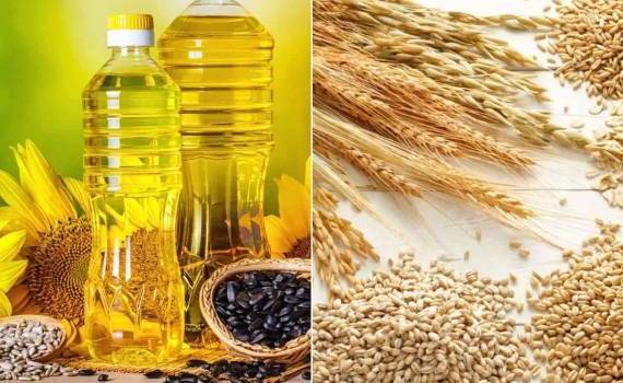 Анализ рынка растительных масел и зерновых за неделю - agroexpert.md