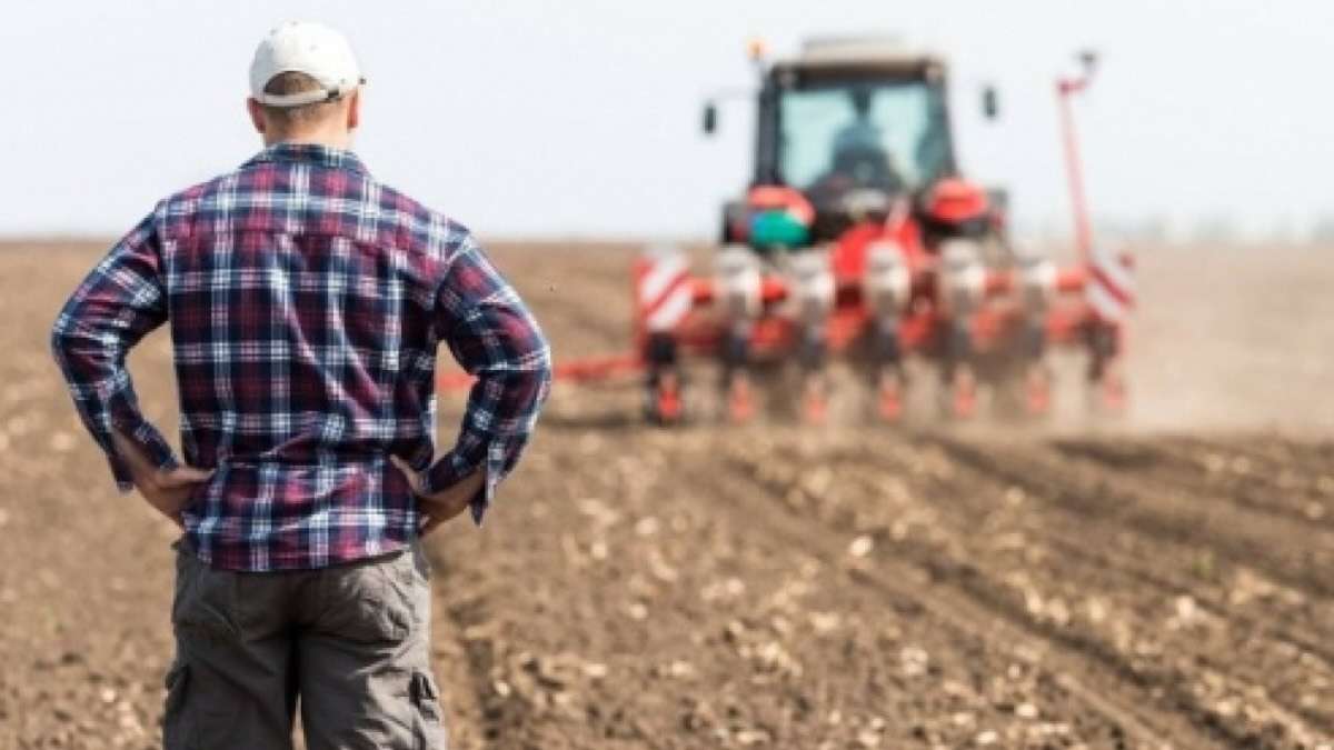 R. Moldova la conferința internațională a cerealelor din Turcia - agroexpert.md