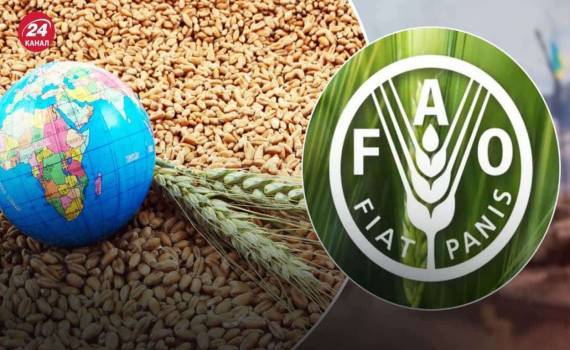 ФАО: Итоги мая 2026 по индексу продовольственных цен - agroexpert.md