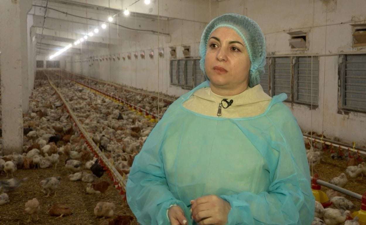 От цеха в селе — к сети птицеферм: история успеха Стелы Эфрос - agroexpert.md- 