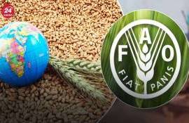 ФАО: Итоги мая 2026 по индексу продовольственных цен - agroexpert.md