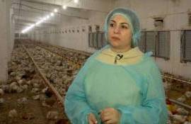 От цеха в селе — к сети птицеферм: история успеха Стелы Эфрос - agroexpert.md- 