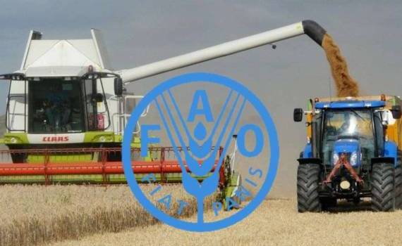 В сезоне 2026/27 ожидается снижение мирового производства зерновых - agroexpert.md