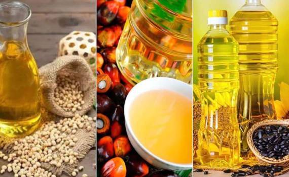 Почему цена подсолнечного масла отстает от пальмового, соевого и рапсового - agroexpert.md