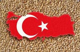 Turcia anunță prețurile pentru recolta de cereale din 2026  - agroexpert.md