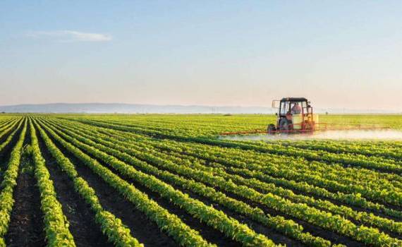 culturi agricole - agroexpert.md