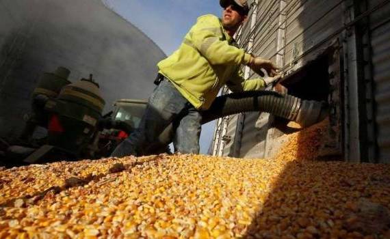 export porumb - agroexpert.md