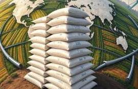 Влияние конфликта в Иране на глобальный рынок удобрений - agroexpert.md