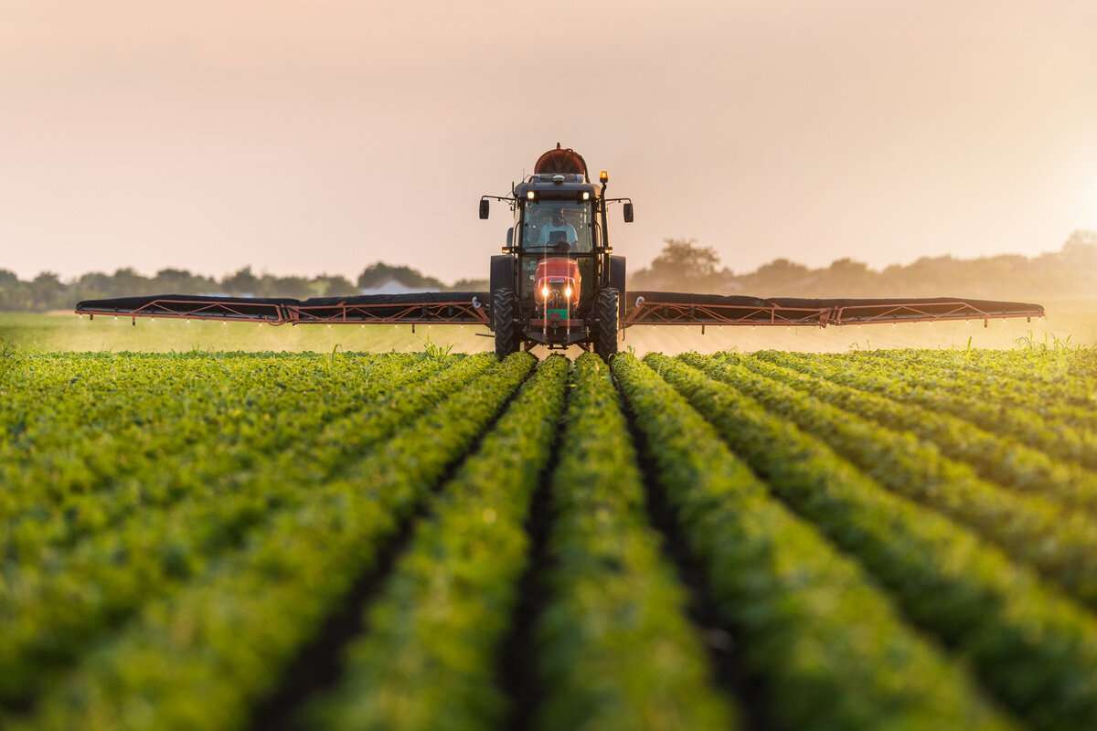 Ce impact va avea PSPA-ul asupra sectorului horticol în următorii ani - agroexpert.md