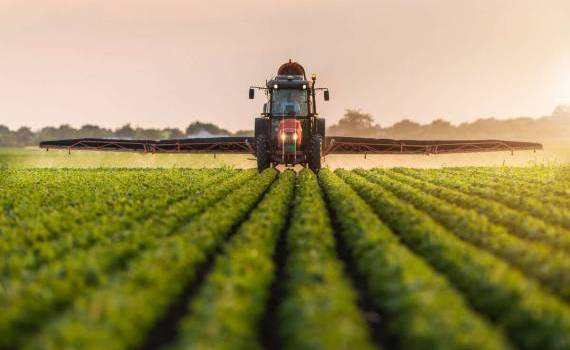 Ce impact va avea PSPA-ul asupra sectorului horticol în următorii ani - agroexpert.md