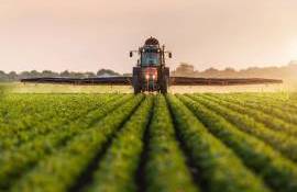 Ce impact va avea PSPA-ul asupra sectorului horticol în următorii ani - agroexpert.md