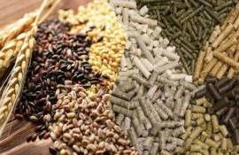 В 2026 году производство комбикормов в ЕС останется на прежнем уровне - agroexpert.md