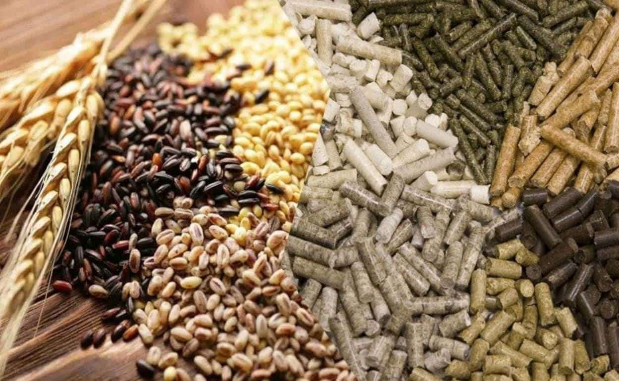 В 2026 году производство комбикормов в ЕС останется на прежнем уровне - agroexpert.md