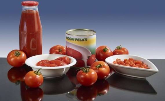 Обзор Европейского рынка томатной продукции - agroexpert.md